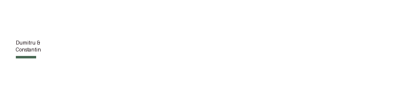 Dumitru & Constantin logo